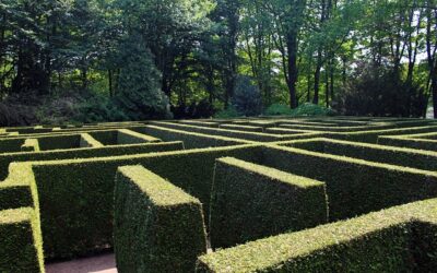 Lorem ipsum dolor sit amet